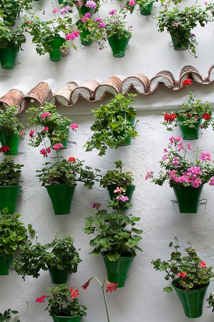 Wall Mounted Pots Dealers In Bangalore