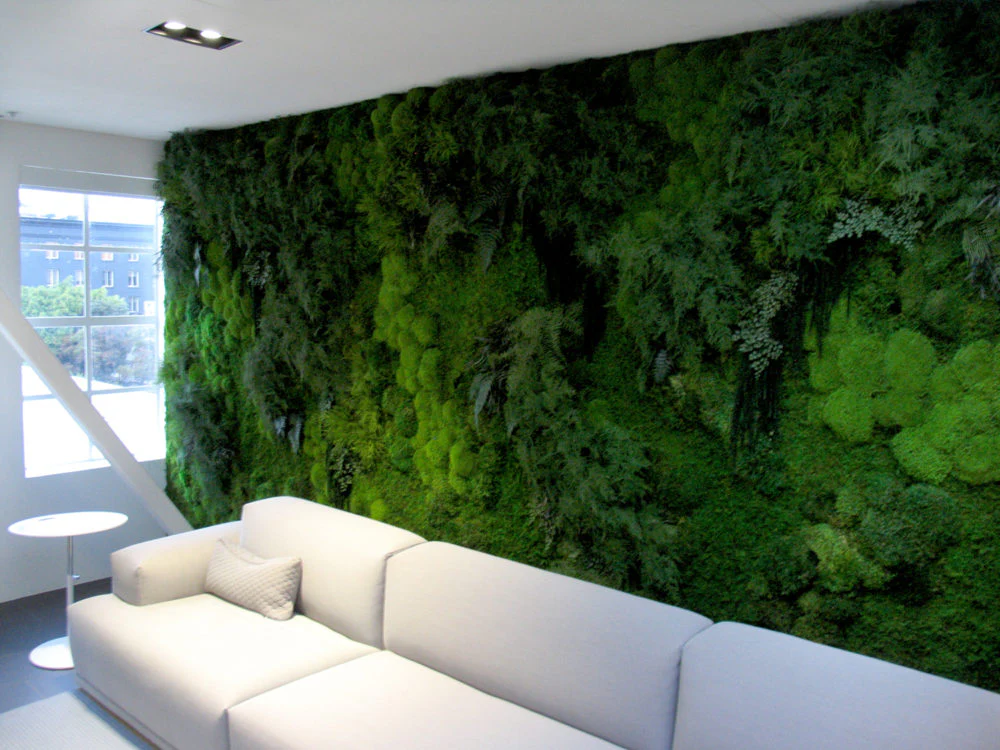 Custom Moss Arrangements in Bangalore