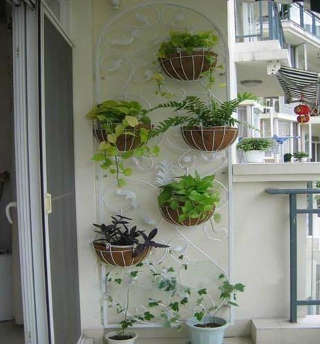 Wall Mounted Pots In Bangalore