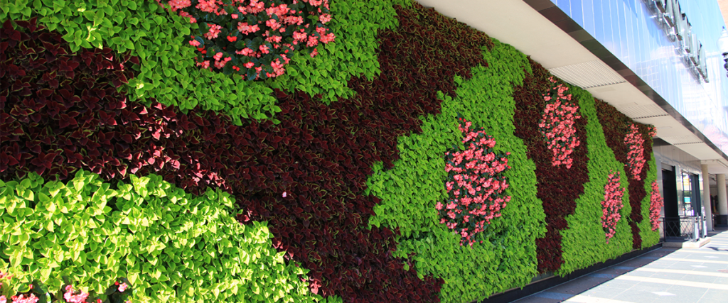 Green Wall Solutions in Koramangala