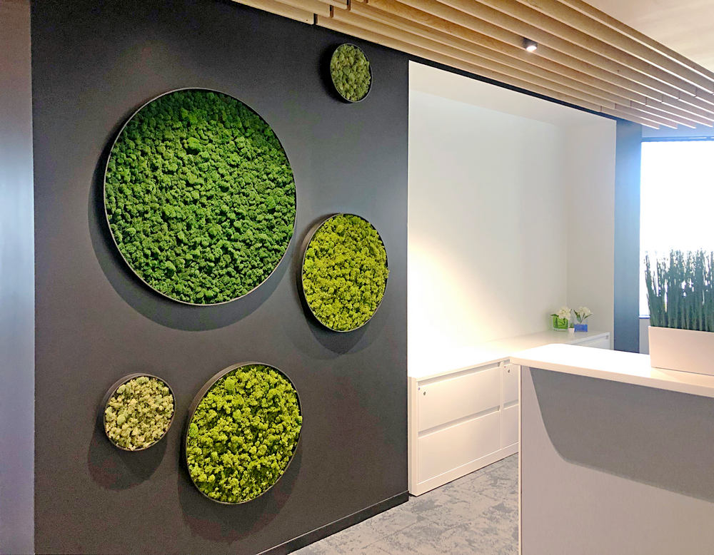 Living Moss Wall Installation in Bangalore