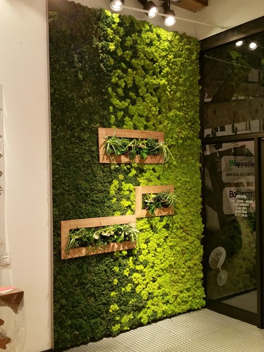 Custom Moss Wall Installation