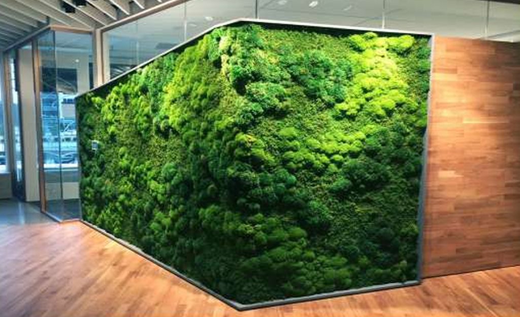 Best Moss Wall Manufacturer Near Indiranagar