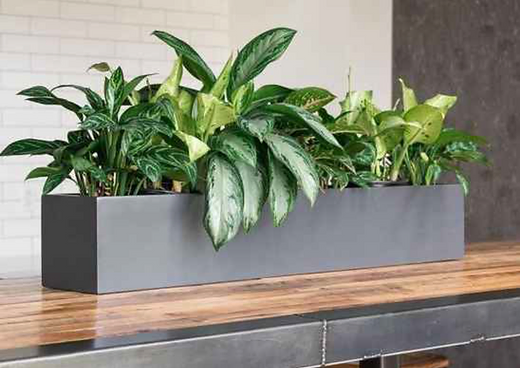 Greenerzo Bioscape PVT LTD - Latest update - FRP Planters Manufacturers In Bangalore