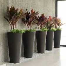 Greenerzo Bioscape PVT LTD - Latest update - FRP Planters Manufacturers In Indiranagar