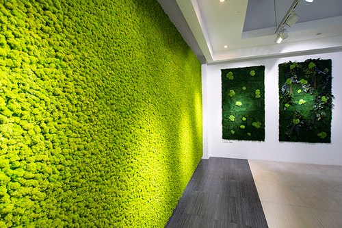 Greenerzo Bioscape PVT LTD - Latest update - Moss Wall Manufacturers in Ramamurty Nagar