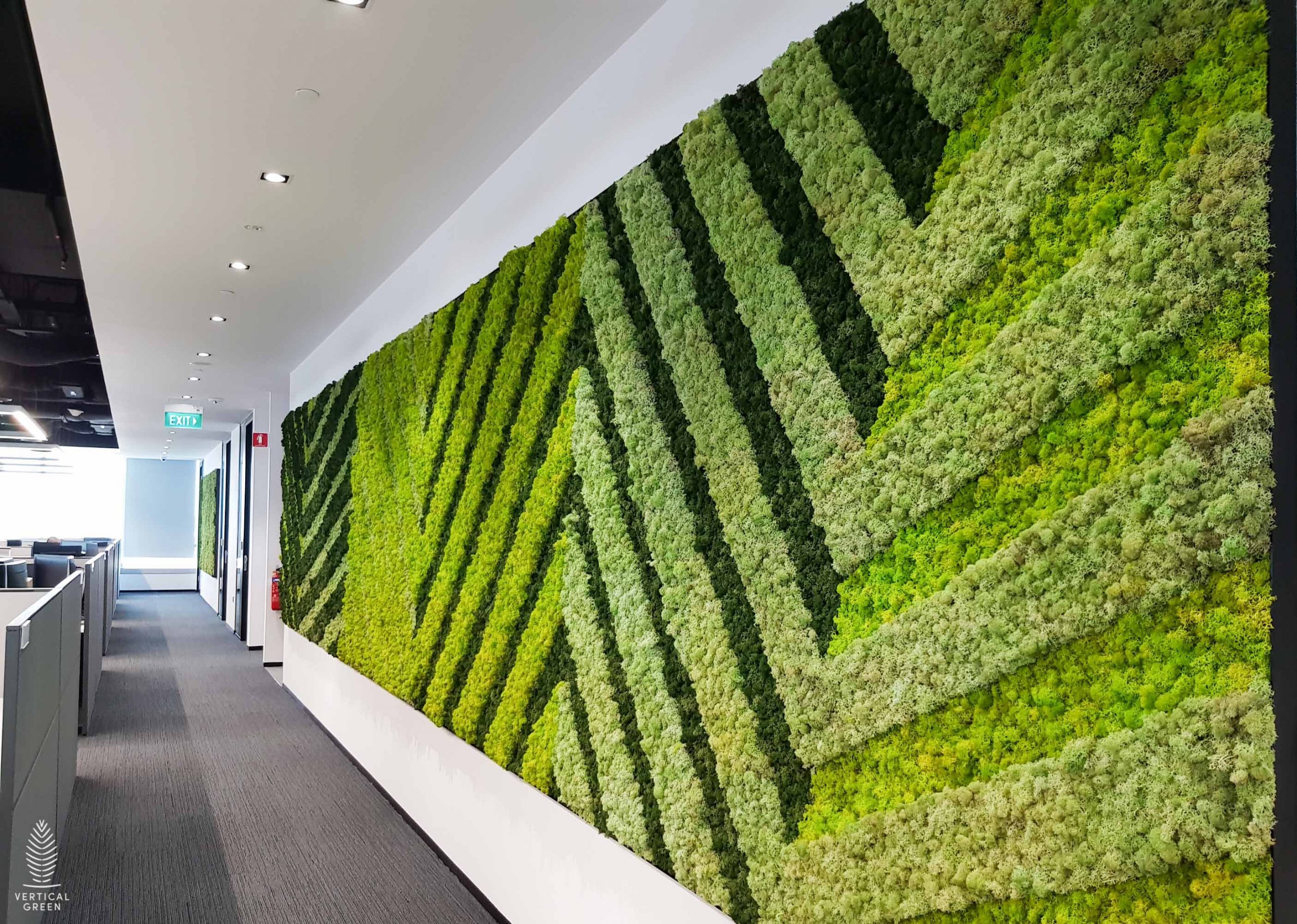 Greenerzo Bioscape PVT LTD - Latest update - Moss Walls Setup In Bangalore