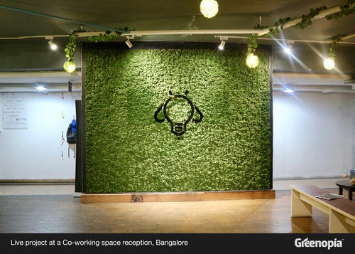 Greenerzo Bioscape PVT LTD - Latest update - Moss Wall Manufacturers in Kalyan Nagar