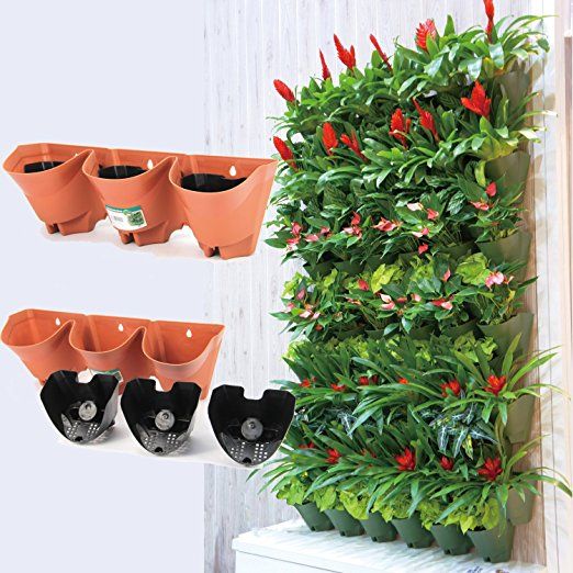 Greenerzo Bioscape PVT LTD - Latest update - Wall Mounted Pots Manufacturers In Banglore