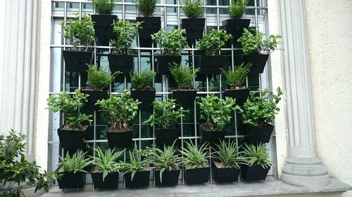 Greenerzo Bioscape PVT LTD - Latest update - Wall Mounted Pots setup in Bangalore