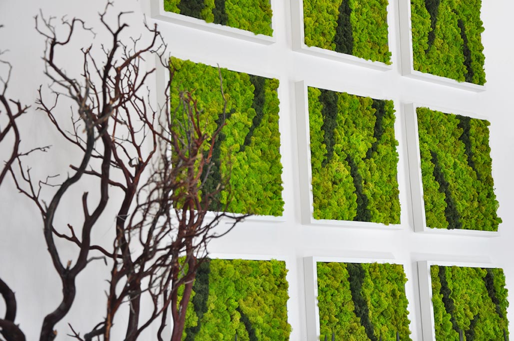 Greenerzo Bioscape PVT LTD - Latest update - MOSS WALL MANUFACTURERS NEAR RAJAJINAGAR