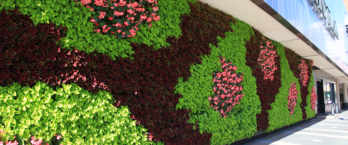 Greenerzo Bioscape PVT LTD - Latest update - Green Wall Solutions in Koramangala