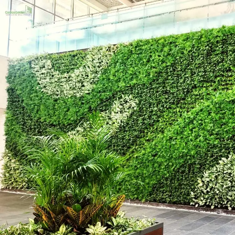 Greenerzo Bioscape PVT LTD - Latest update - Modern Moss Wall Decor Bangalore