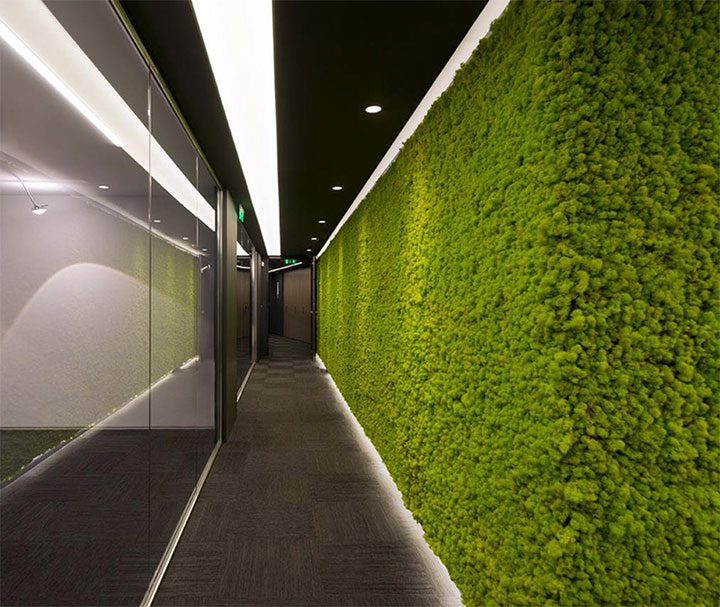 Greenerzo Bioscape PVT LTD - Latest update - Moss Wall Designers In Bangalore