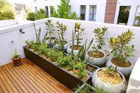 Greenerzo Bioscape PVT LTD - Latest update - Garden Maintenance Services Near Sadashivanagar