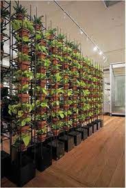 Greenerzo Bioscape PVT LTD - Latest update - Metal frame gardens Dealers in Koramangala