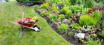 Greenerzo Bioscape PVT LTD - Latest update - Garden Maintenance Services Near Me