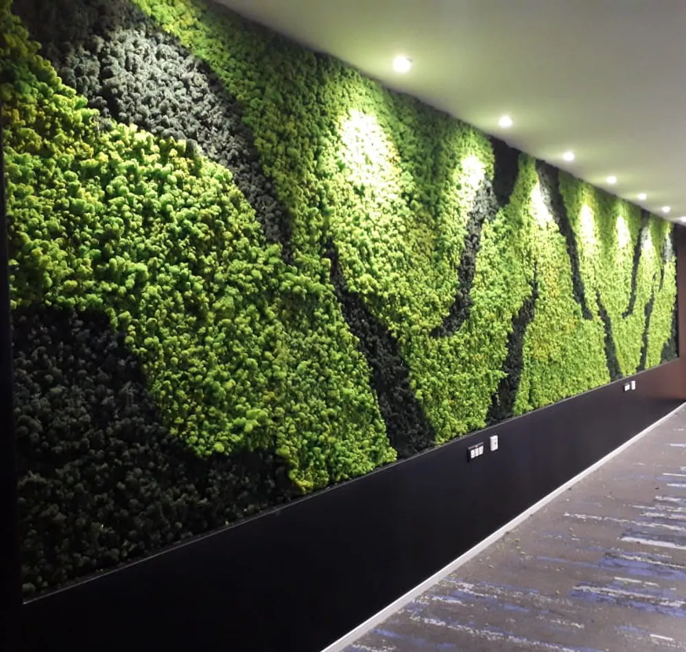 Greenerzo Bioscape PVT LTD - Latest update - Moss wall manufacturer in koramangala