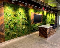 Greenerzo Bioscape PVT LTD - Latest update - Moss Wall Interior Designers Bangalore