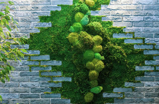 Greenerzo Bioscape PVT LTD - Latest update - Wall Moss Garden Setup Near Me